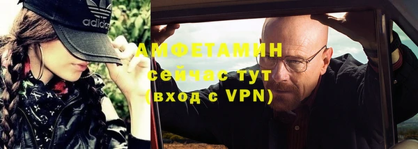 молекула духа Покров