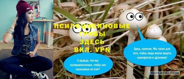 ALPHA PVP Переславль-Залесский