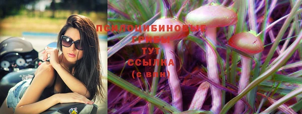 jwh Пестово